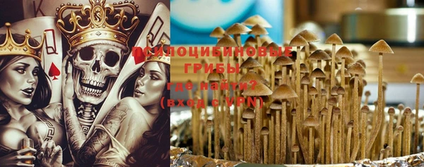 mdpv Гусиноозёрск