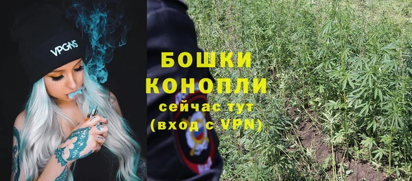 PSILOCYBIN Гусев