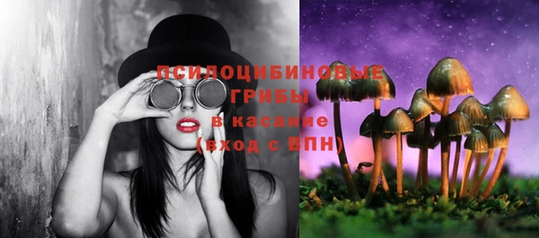 меф Горняк