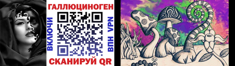 kraken ONION  где продают наркотики  Александровское  Галлюциногенные грибы Psilocybine cubensis 