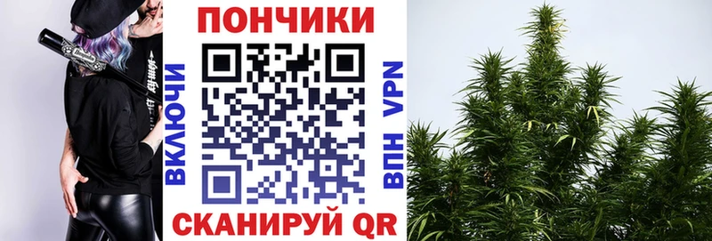 мориарти наркотические препараты  где купить наркоту  Александровское  Марихуана индика 